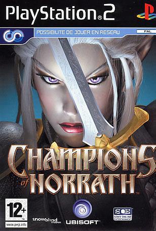Jeux Vidéo Champions Of Norrath Realms Of Everquest PlayStation 2 (PS2)