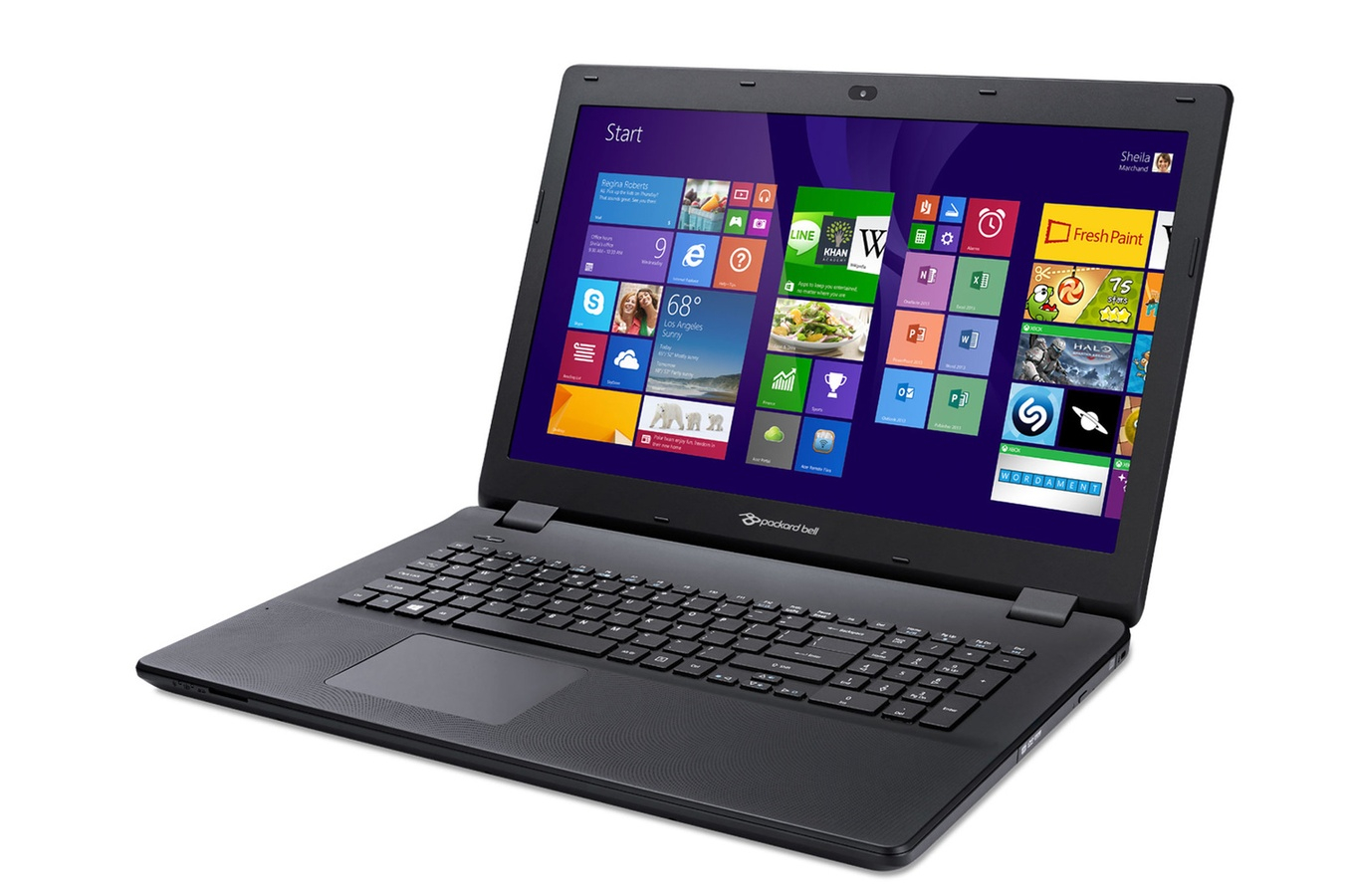 Ordinateurs Portables Packard Bell Enlg71Bm-C5Sk