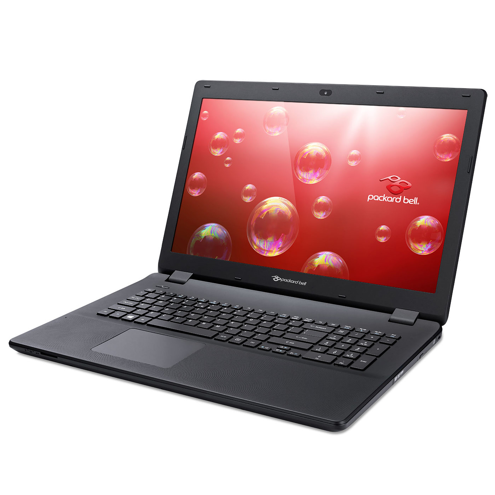 Ordinateurs Portables Packard Bell Easynote Lg71Bm-P096 Pentium 4 Go Ram 1 To Hdd 17.3"