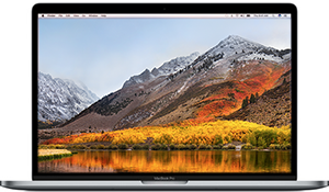 Ordinateurs portables APPLE MacBook Pro A1708 I5 8 Go RAM 256 Go SSD 13.3""