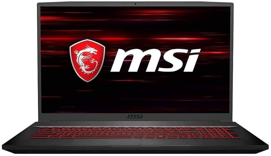Ordinateurs Portables Msi Gf75 Thin 10Sdr-270Fr i7 32 Go Ram 256 Go SSD 17.3"