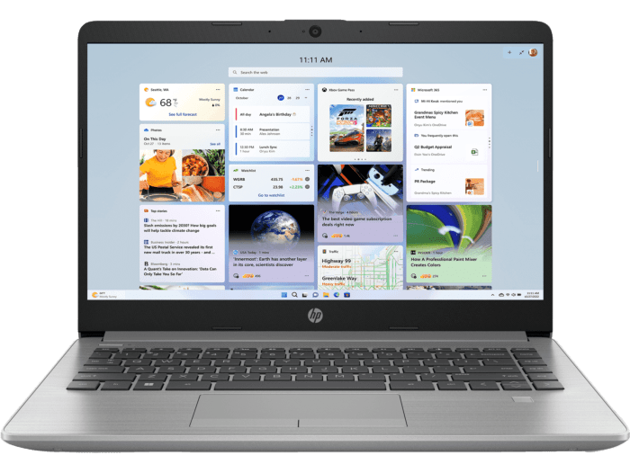 Ordinateurs Portables HP 245 G9 Amd Ryzen 5 8 Go Ram 256Go SSD 13.9"